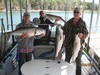 (10/03/2015) - Nice Striped Bass